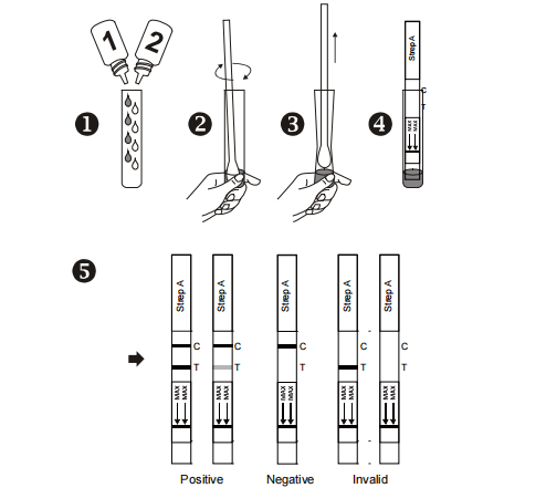 Throat Swab Strep A Rapid Test Group A Streptococcal Infectious Disease ...