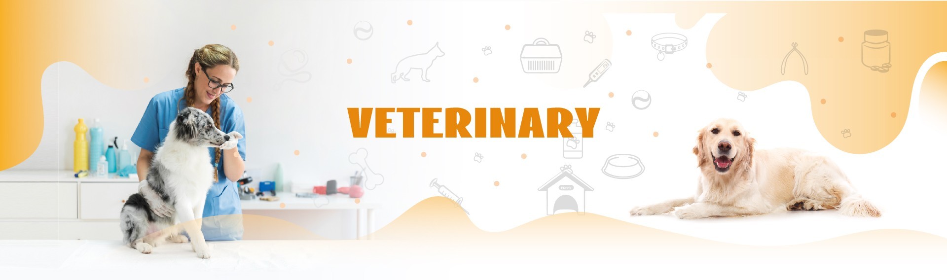 quality Veterinary Rapid Test Kit Service