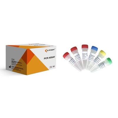 ORF1ab And N Genes PCR Rapid Test SARS-COV-2 RT-QPCR Assay Triple Fluorescence