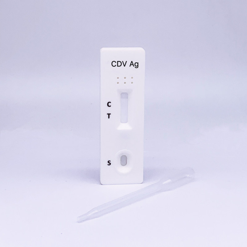 High Sensitivity 98 Antigen Rapid CDV Ag Test Kit Canine Distemper