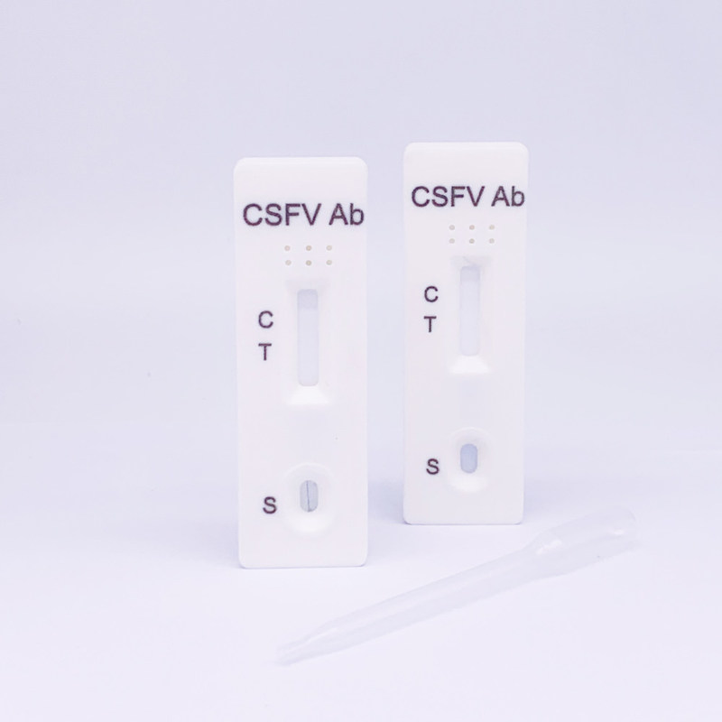 97.5 High Sensitivity Veterinary Rapid Test Kit CSFV Ab Swine Fever