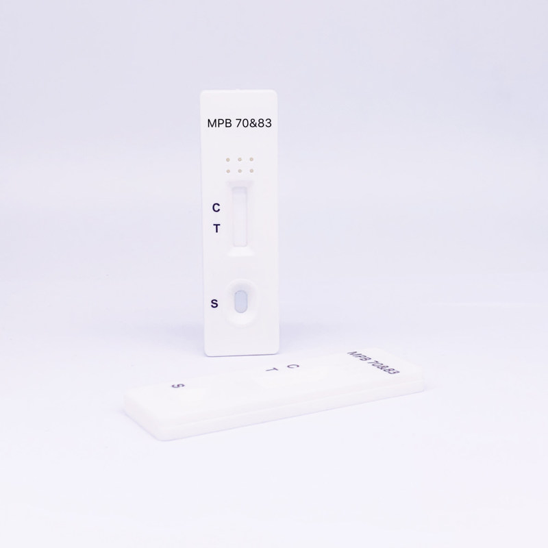 MPB 70&83 Ab Veterinary Rapid Test Kit Bovine Tuberculosis Antibody Test