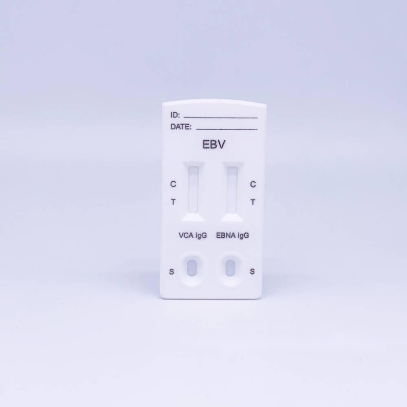 10T EBV Viral Capsid Antigen Test EB Nuclear Antigen IgG Rapid Test Cassette